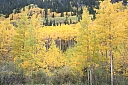 img_8164.jpg
