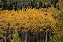 img_8165.jpg