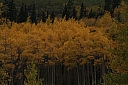 img_8166.jpg