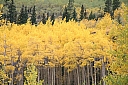 img_8167.jpg