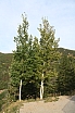 img_8174.jpg
