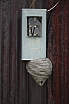 img_8184.jpg