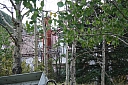 img_8186.jpg