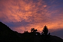 img_8202.jpg