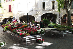 img_8960.jpg