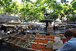 img_8966.jpg