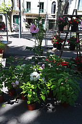 img_9326.jpg