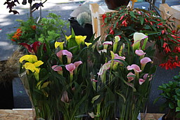 img_9347.jpg