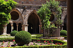 img_9395.jpg