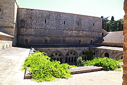img_9459.jpg
