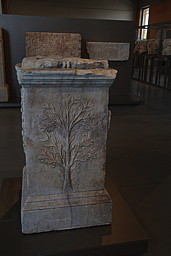 img_9529.jpg