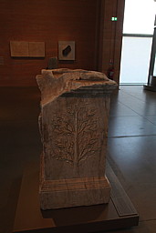 img_9531.jpg