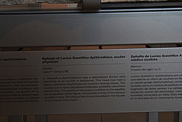 img_9539.jpg