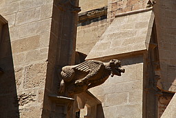 img_9591.jpg
