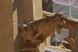 img_9604.jpg