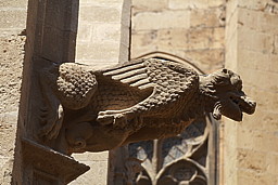 img_9619.jpg