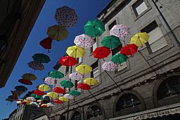 img_9683.jpg
