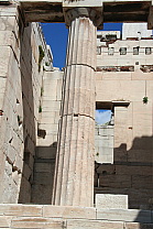 img_0137.jpg