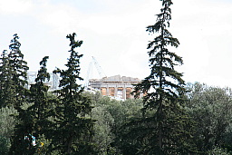 img_0142.jpg