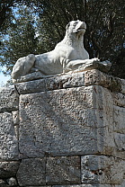 img_0167.jpg