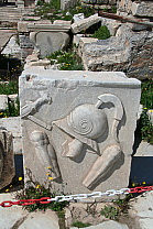 img_1063.jpg