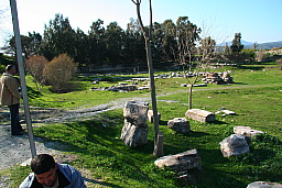 img_1179.jpg