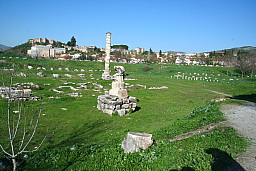 img_1180.jpg