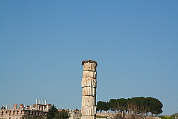 img_1182.jpg