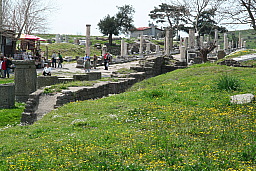 img_1186.jpg