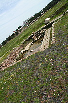 img_1188.jpg