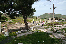 img_1191.jpg