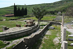img_1195.jpg