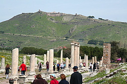 img_1196.jpg