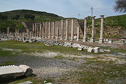 img_1203.jpg