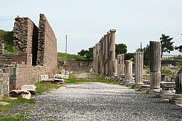 img_1218.jpg