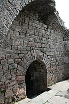 img_1223.jpg