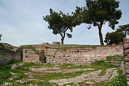 img_1226.jpg