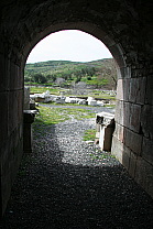 img_1231.jpg