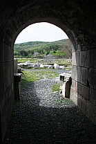 img_1232.jpg