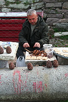 img_1236.jpg