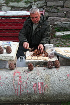 img_1237.jpg