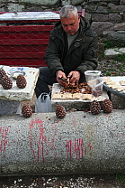 img_1238.jpg
