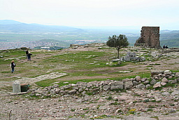 img_1242.jpg