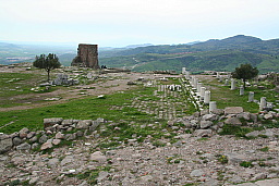 img_1243.jpg