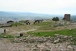 img_1244.jpg