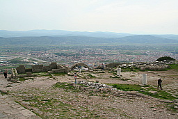 img_1245.jpg