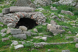 img_1247.jpg