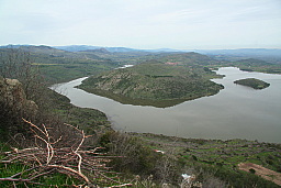 img_1249.jpg