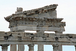 img_1252.jpg