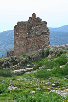 img_1253.jpg